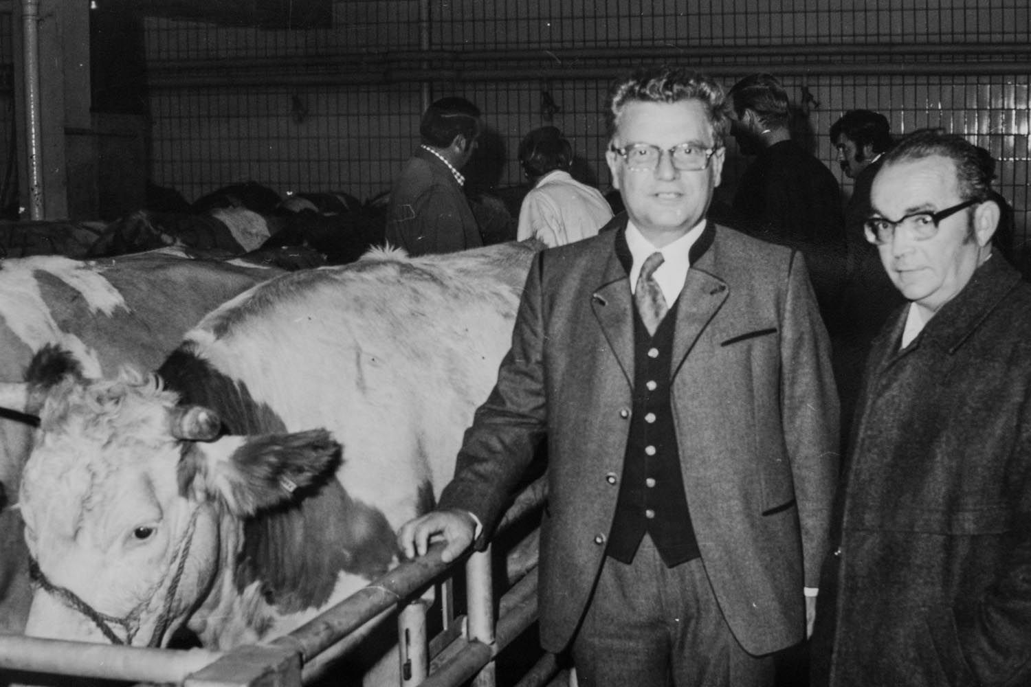 Historisches Foto | Schlachtviehvermarktung 1973 Rosenheim